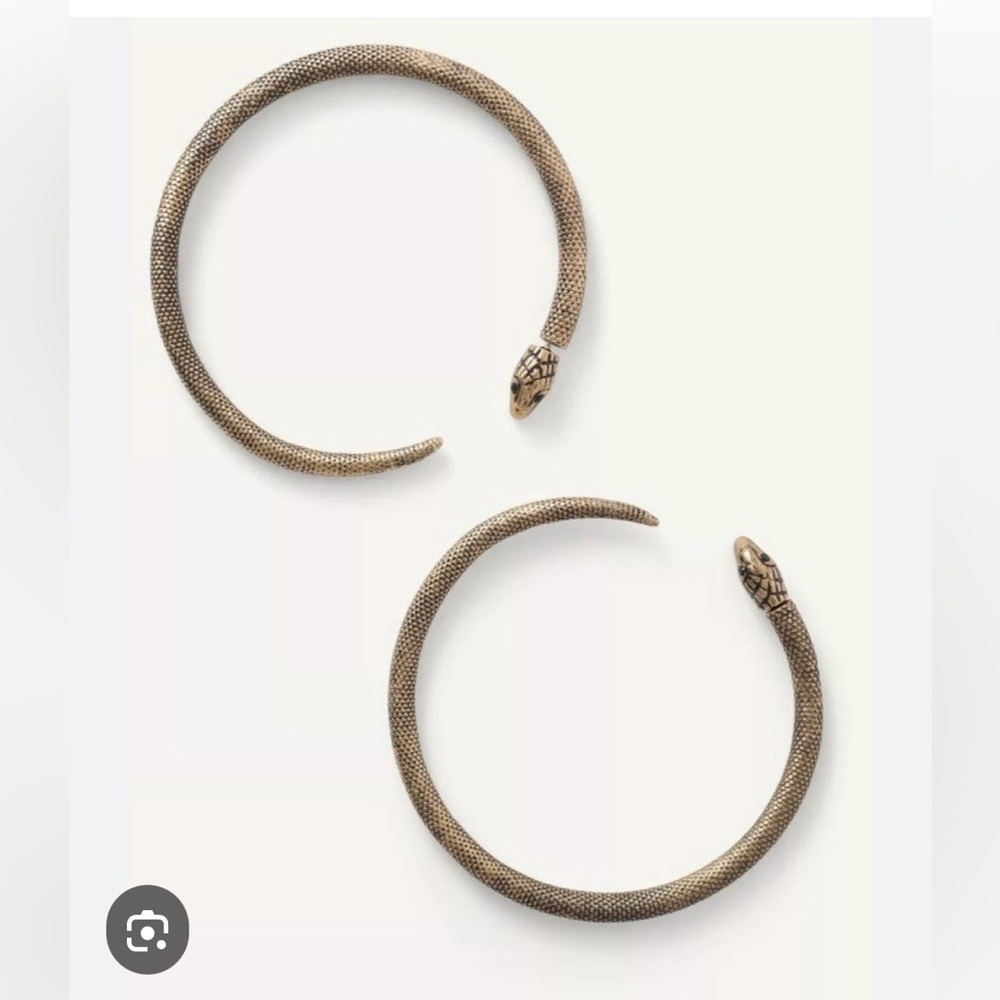 Zara x KATE MOSS X KATE MOSS Snakeskin Texture Metal Hoop Earrings NWT
